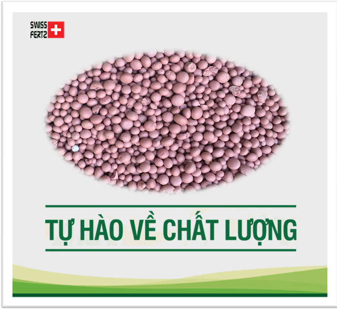 16-16-16 hạt Phân NPK 16-16-16