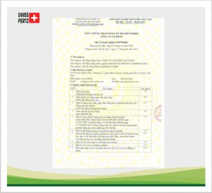 Công ty TNHH Voi Vàng