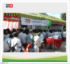 Hoạt động công ty