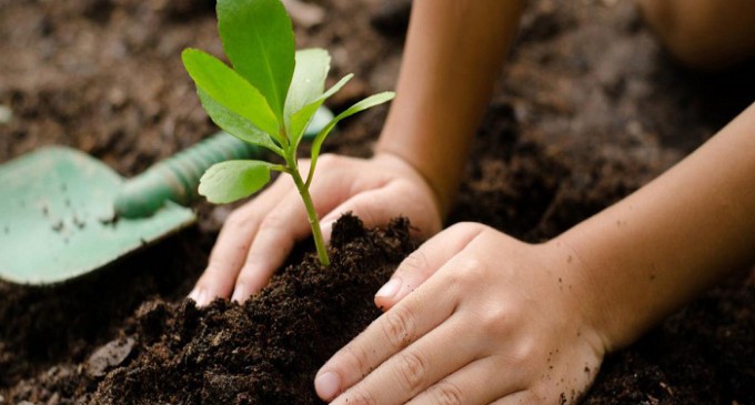 Đảm bảo đất đai tốt cho cây trồng