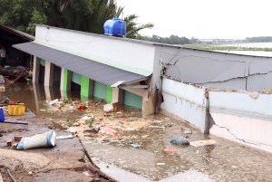 Long An sạt lở trầm trọng